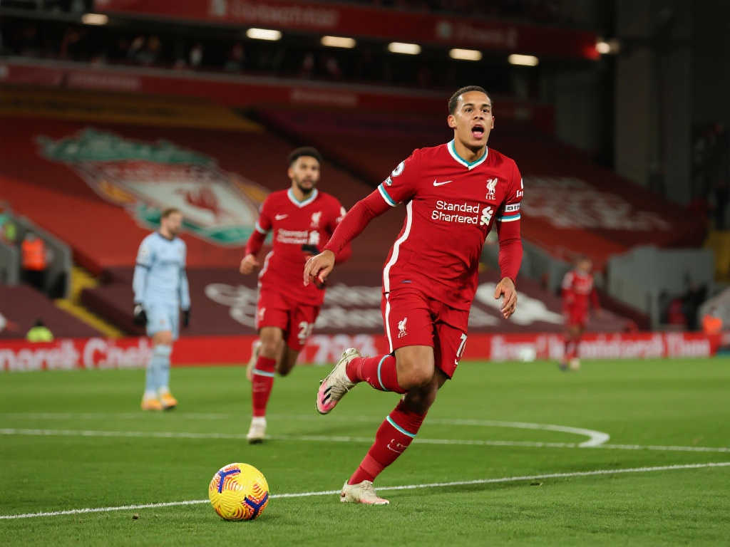 迷的喜爱 迷的喜爱