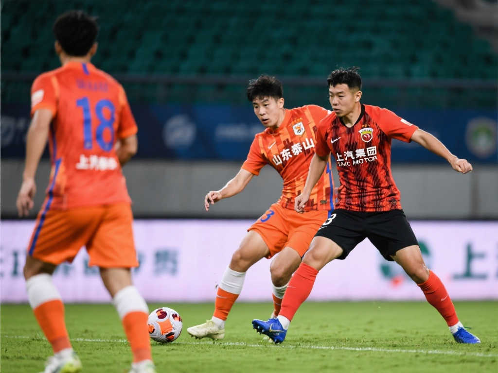 生涯的最后 生涯的最后